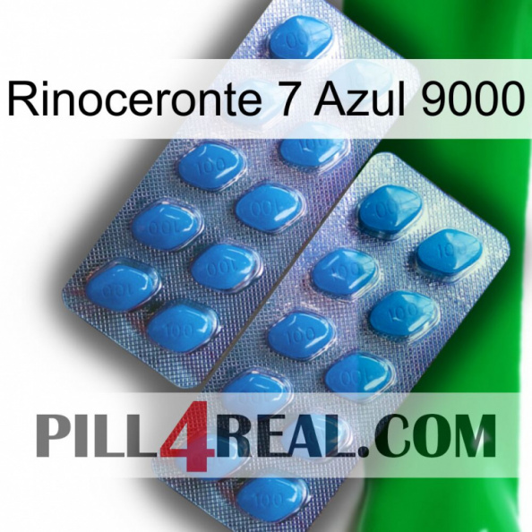 Rhino 7 Blue 9000 viagra2.jpg